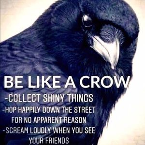 Meet your Posher, Claire